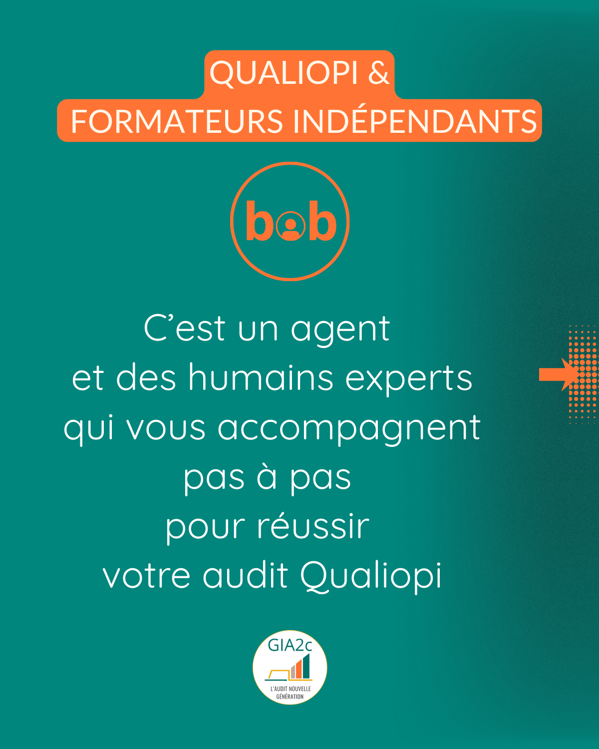 Découvrez Bob en images